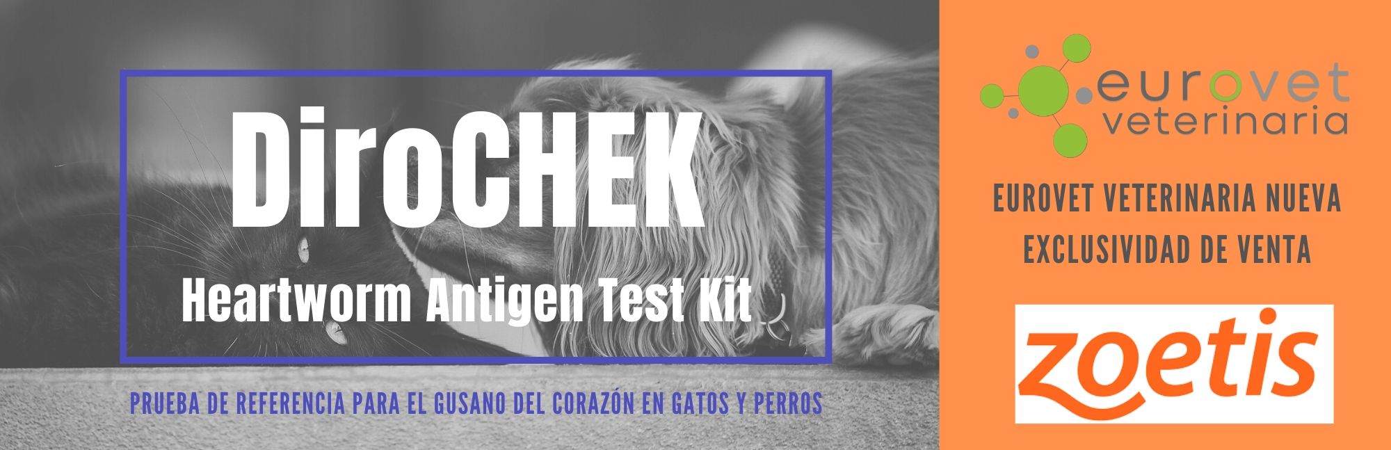 DiroCHEK Heartworm Antigen Test Kit.jpg