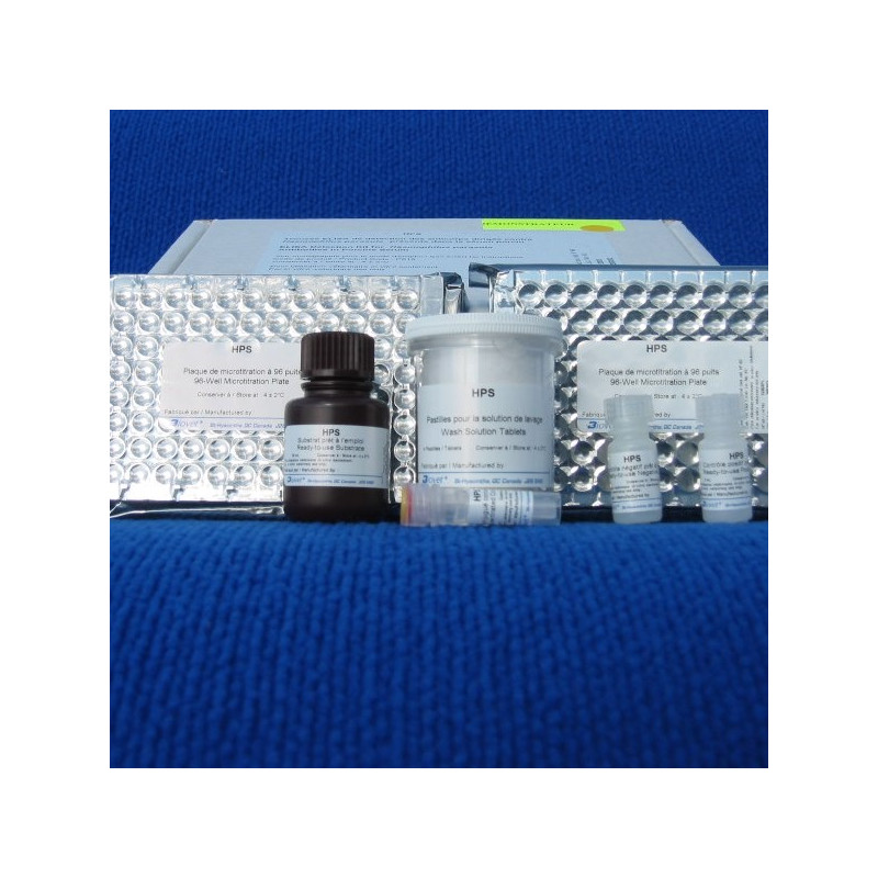 SWINECHECK  HPS