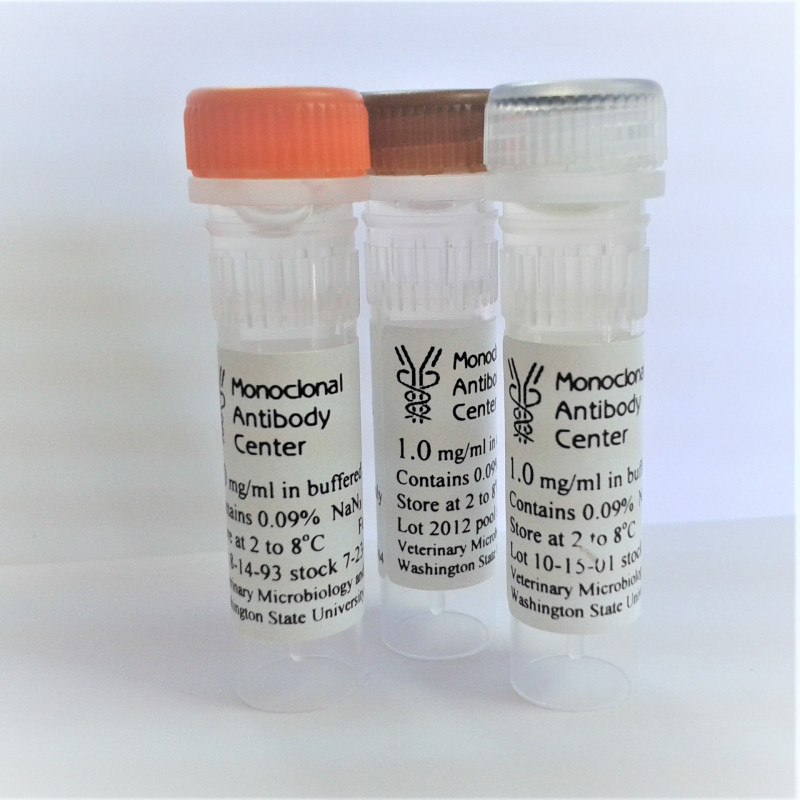 MAb Monoclonal Antibody Center