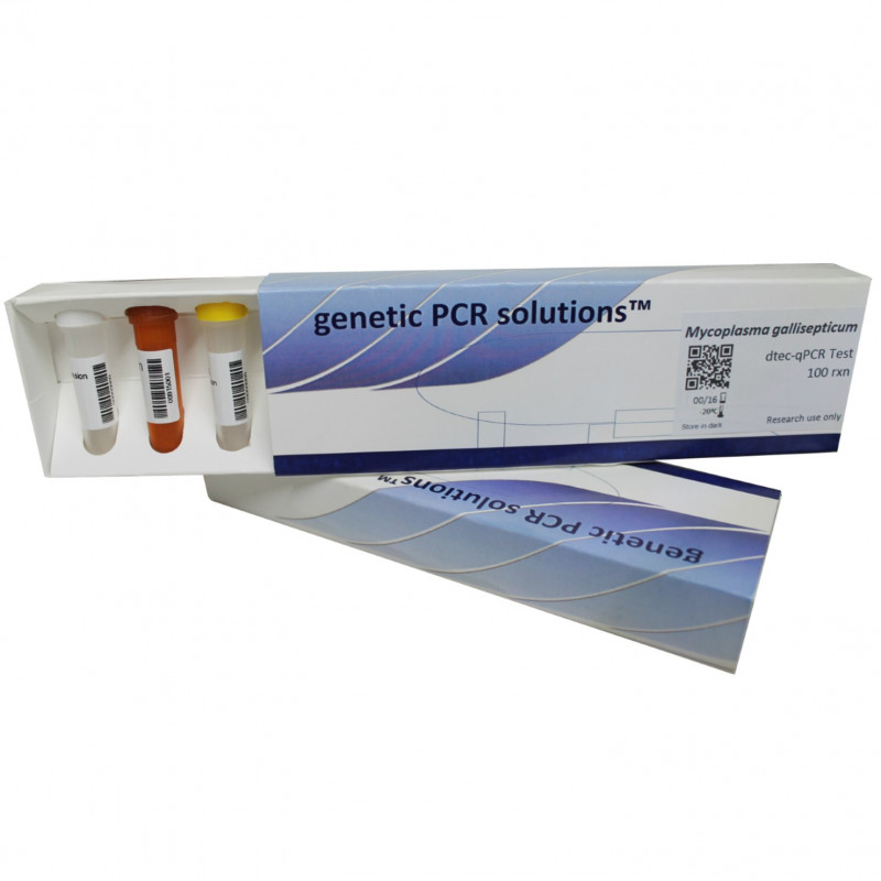 Mycoplasma suis F100 qPCR