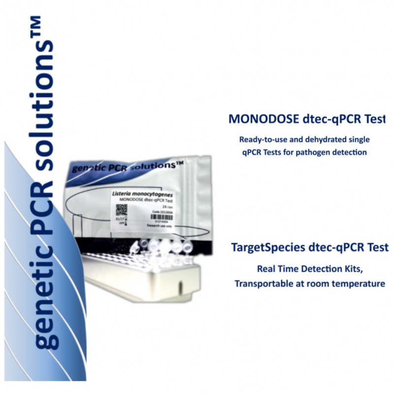 Catálogo GENETIC PCR SOLUTIONS