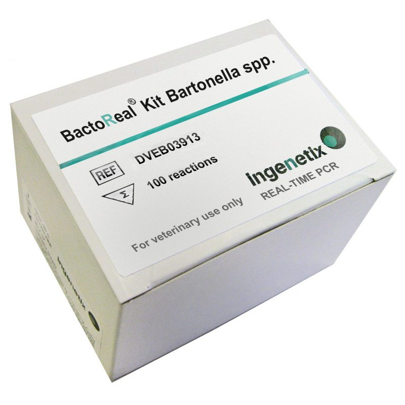 BactoReal Kit Bartonella spp