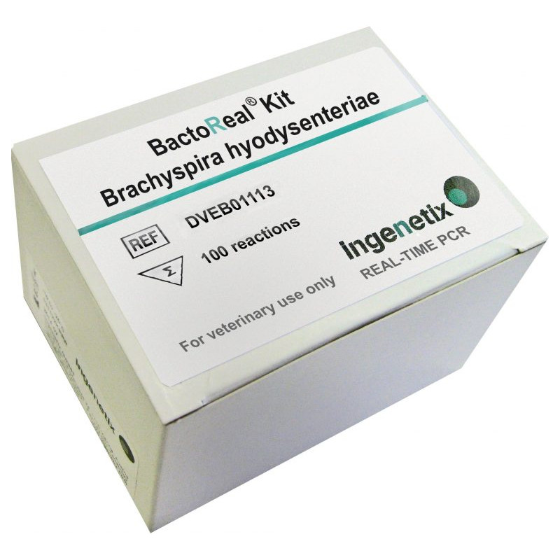 BactoReal Kit Brachyspira...