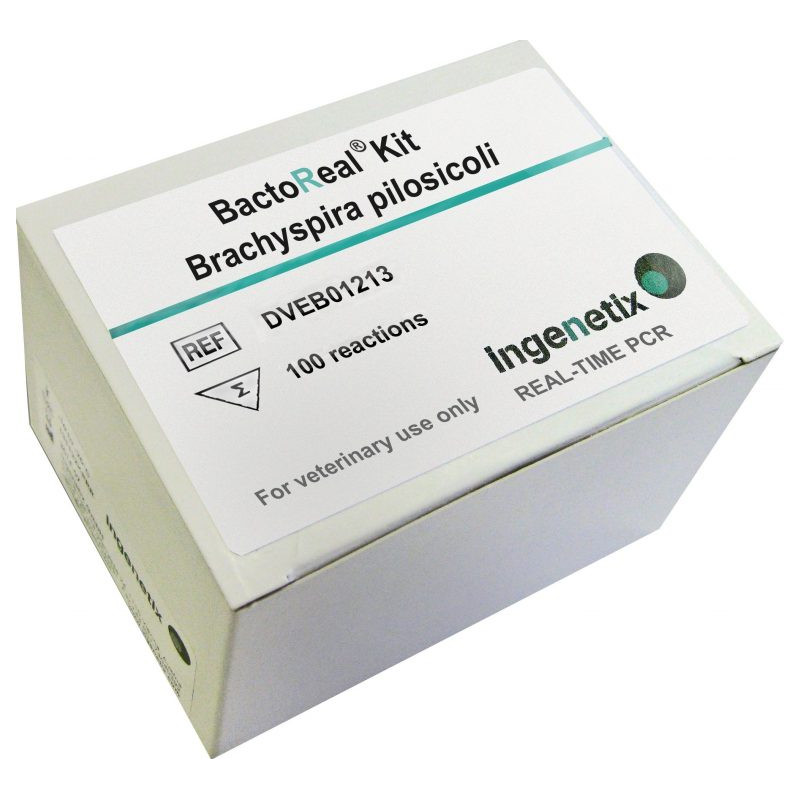 BactoReal Kit Brachyspira...