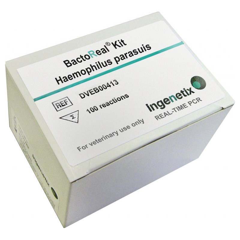 BactoReal Kit Haemophilus...