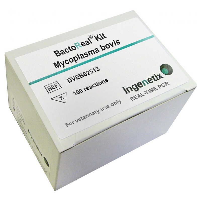 BactoReal Kit Mycoplasma bovis