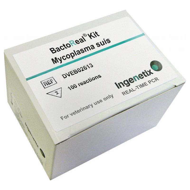 BactoReal Kit Mycoplasma suis