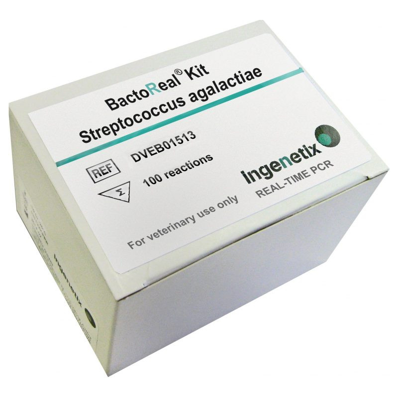 BactoReal Kit Streptococcus...