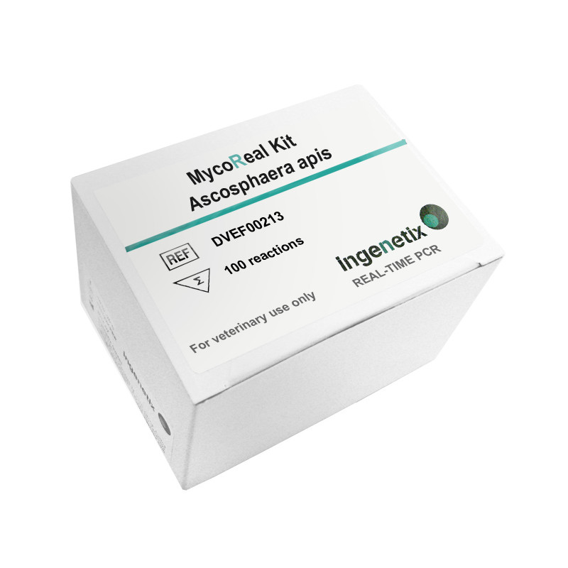 MycoReal Kit Ascosphaera apis