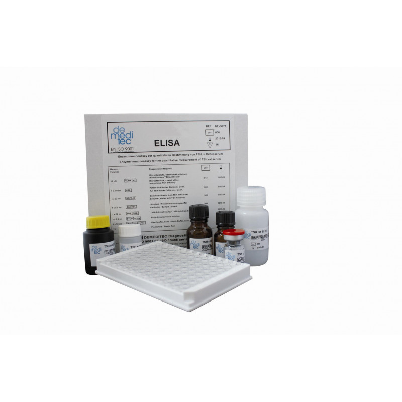 Insulin Rat ELISA