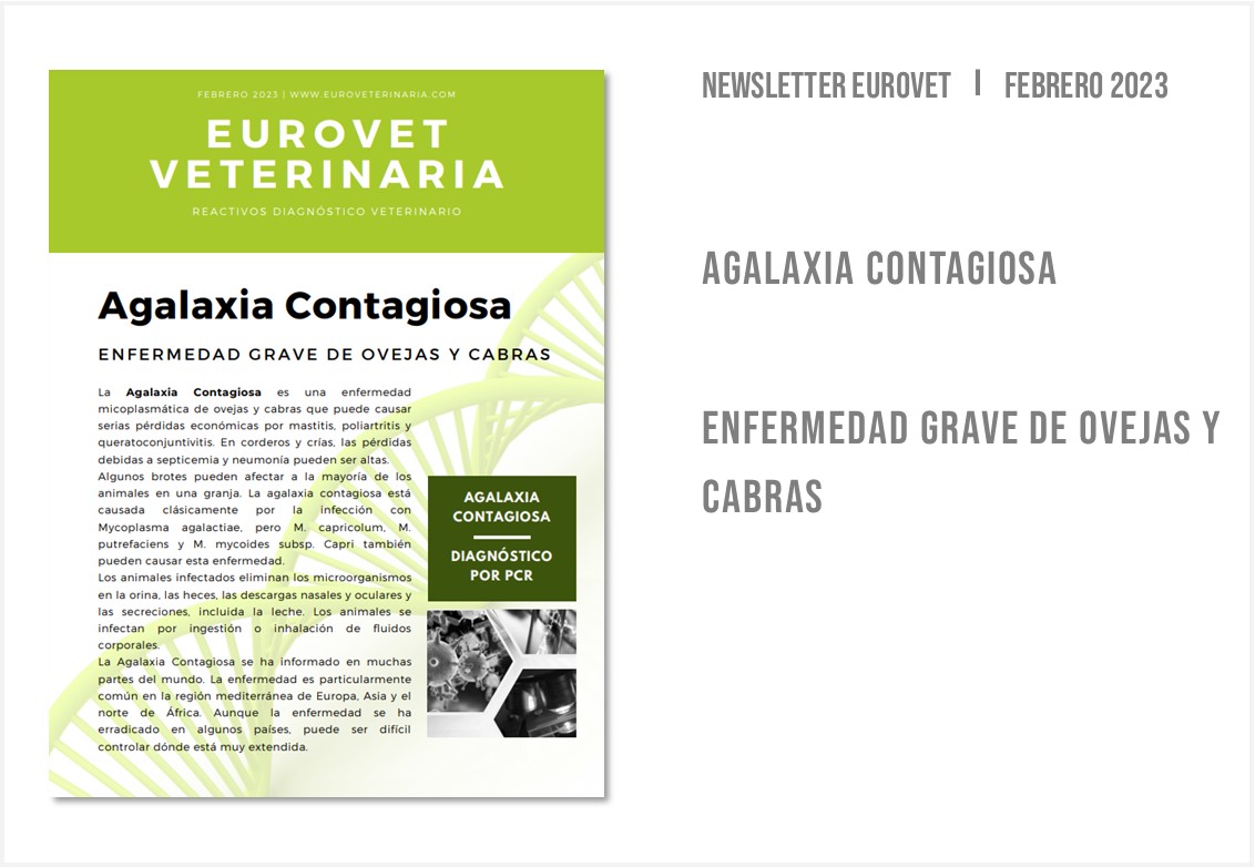 NewsletterFebrero23_AgalaxiaContagiosa_W